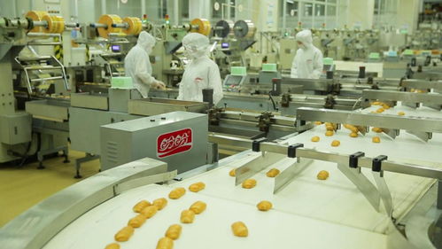 為巴黎奧運(yùn)會喝彩——盼盼之家巴黎體驗店開幕與麥秸畫藝術(shù)盛宴