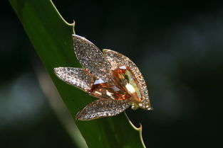 歌詩莉飾品 麥秸畫藝術點亮店鋪裝修，展現獨特產品魅力