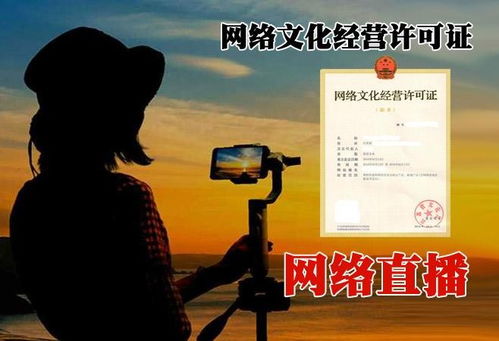 北京順義區(qū)網(wǎng)絡(luò)文化經(jīng)營許可證代辦費(fèi)用詳解與急速辦理指南